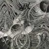 Dead And Dripping - Nefarious Scintillation CD